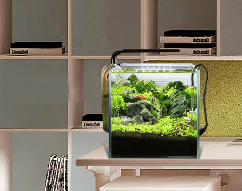 Chihiros C Series ADA สไตล์พืช - Planted Aquarium Products บทวิจารณ์และราคา
