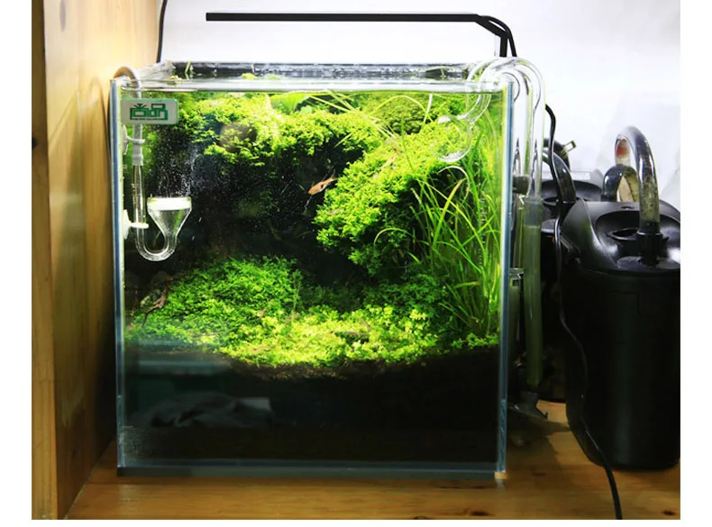 Chihiros C Series ADA สไตล์พืช - Planted Aquarium Products บทวิจารณ์และราคา