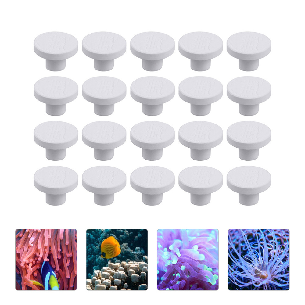 ฐานเซรามิก SPS สำหรับปลูกปะการ - Aquarium Plant Design บทวิจารณ์และราคา