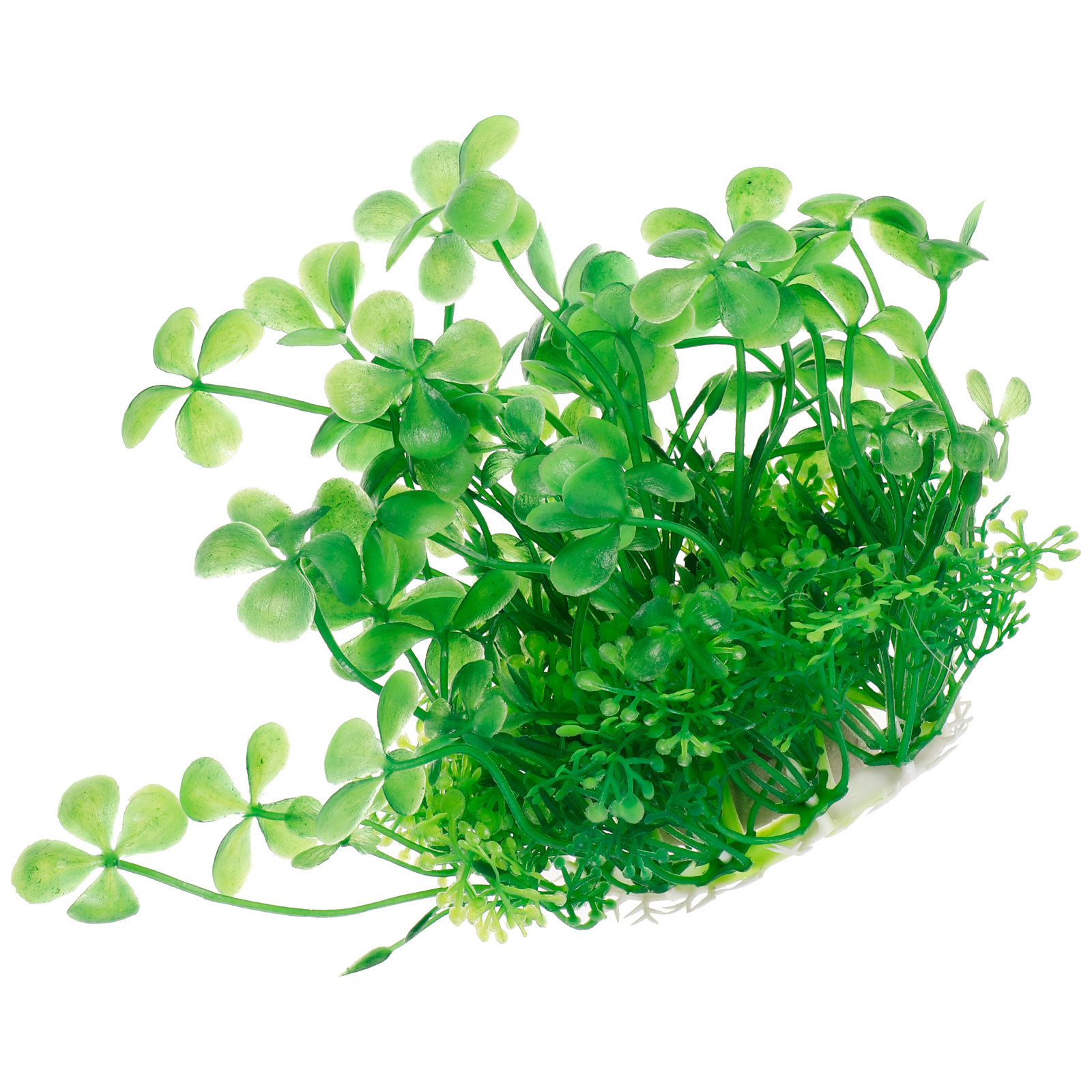 พืชประดับตู้ปลาเทียมคุณภาพพรีเ - Aquarium Planted Setup บทวิจารณ์และราคา