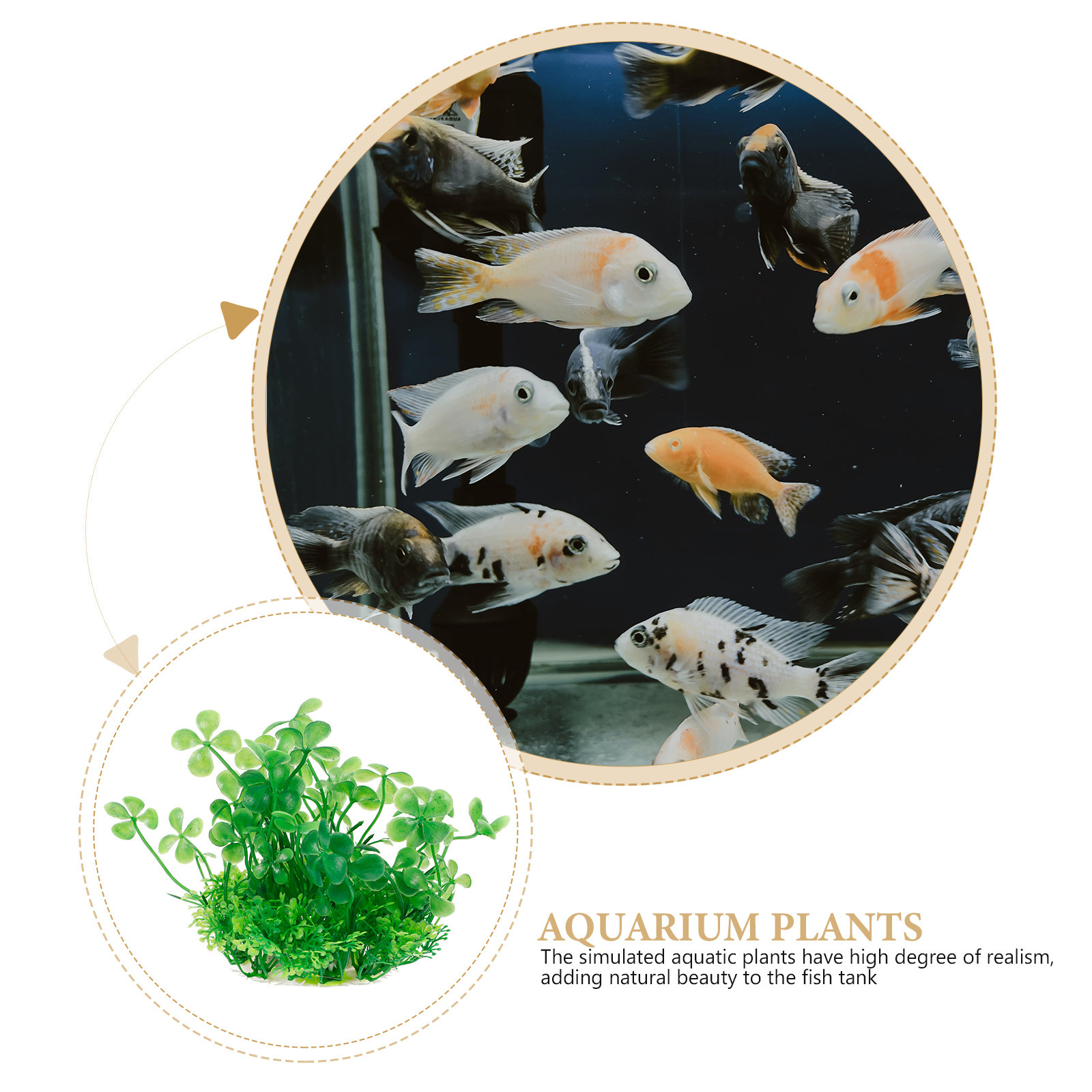 พืชประดับตู้ปลาเทียมคุณภาพพรีเ - Aquarium Planted Setup บทวิจารณ์และราคา