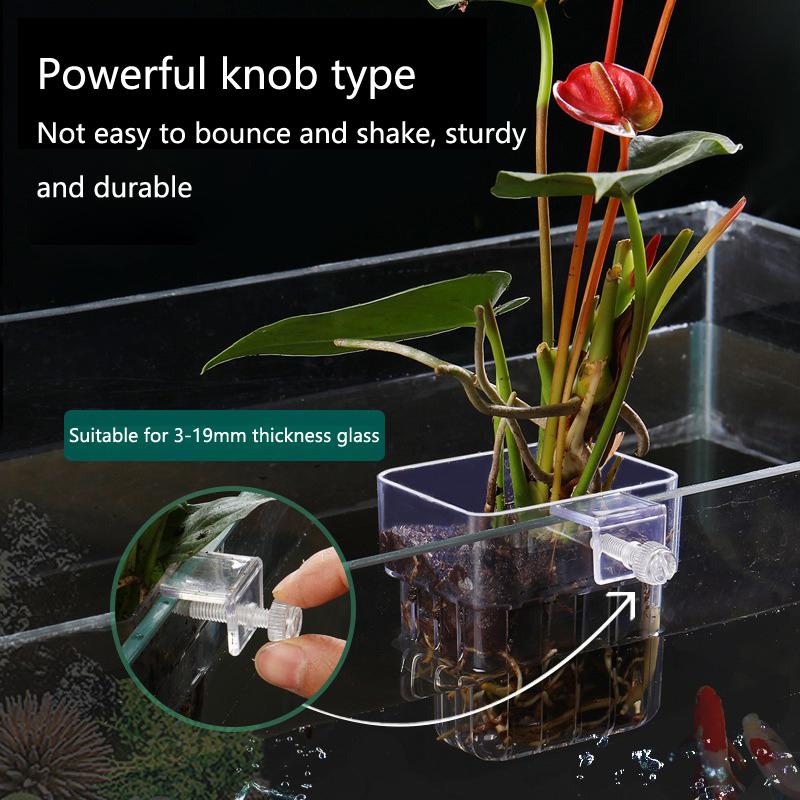 ถ้วยปลูกพืชไฮโดรโปนิกส์สำหรับต - Aquarium Planted Setup บทวิจารณ์และราคา