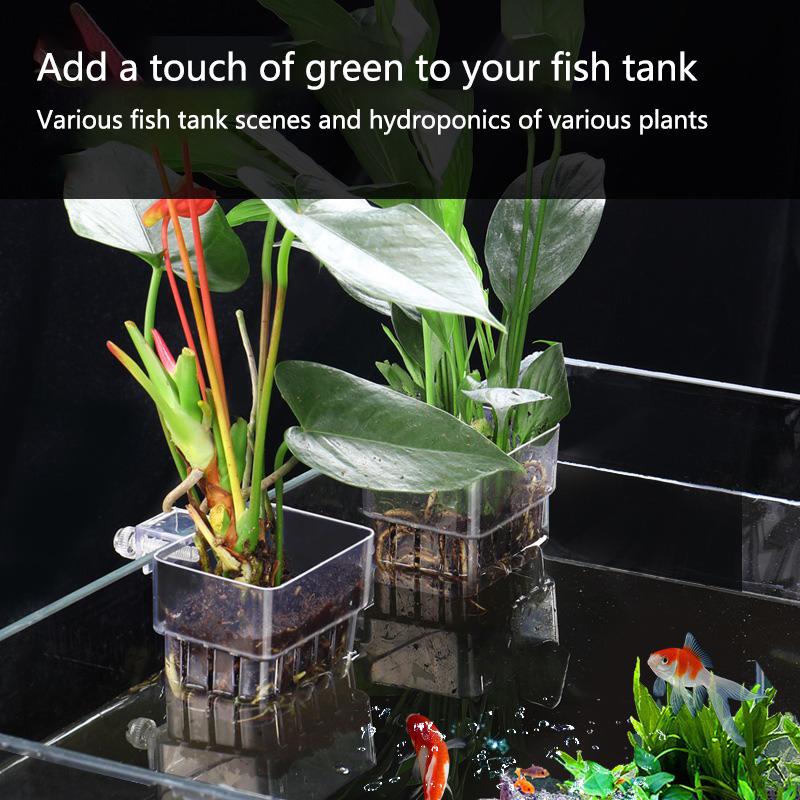 ถ้วยปลูกพืชไฮโดรโปนิกส์สำหรับต - Aquarium Planted Setup บทวิจารณ์และราคา