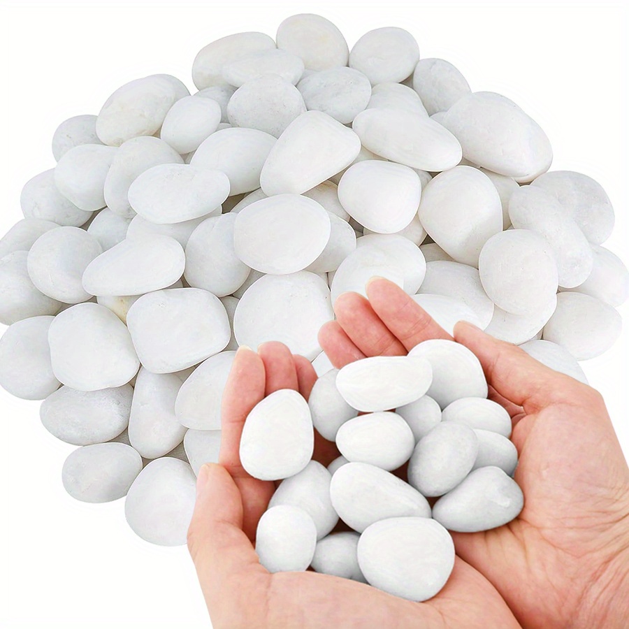 หินกรวดขัดเงาสีขาวธรรมชาติ ขนา - Aquarium Planted บทวิจารณ์และราคา