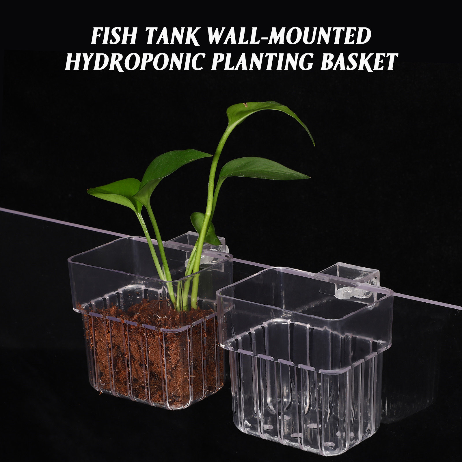 ที่วางต้นไม้ในตู้ปลา 4 ชิ้น ทำ - Aquarium Planted Setup บทวิจารณ์และราคา