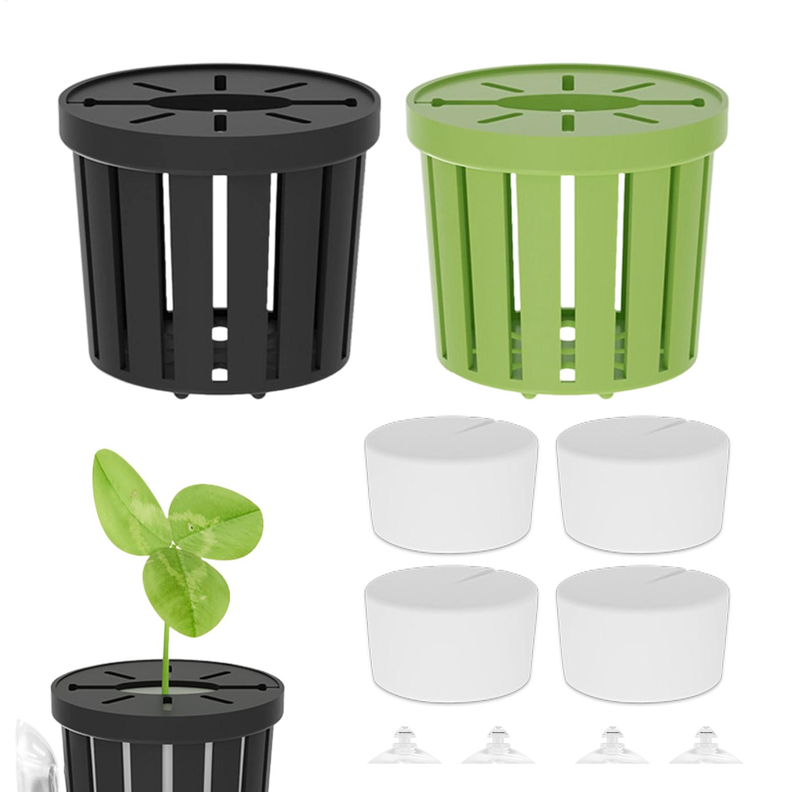 ชุดยึดต้นไม้น้ำ 4 ชิ้น ตะกร้าย - Aquarium Plant Live บทวิจารณ์และราคา