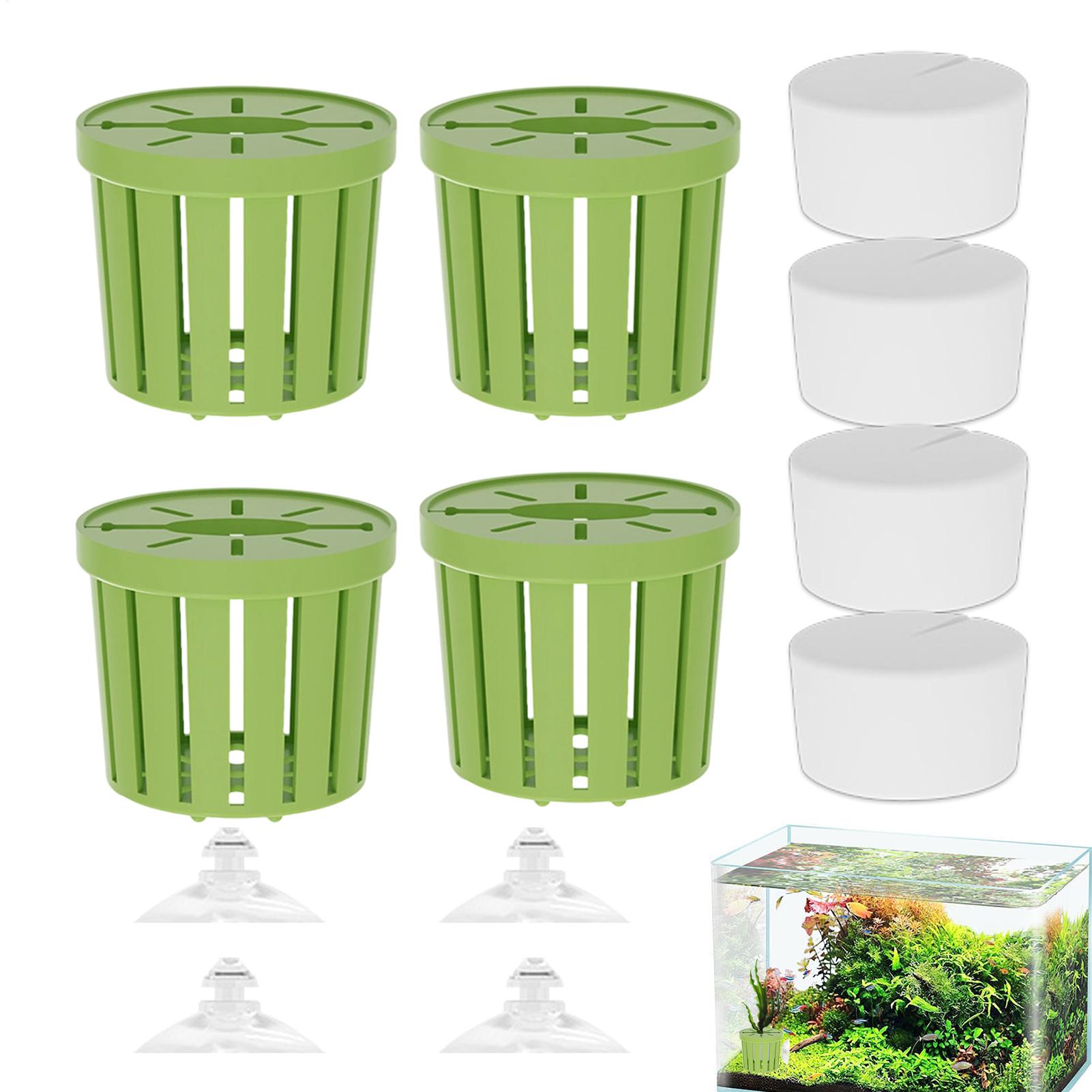 ชุดยึดต้นไม้น้ำ 4 ชิ้น ตะกร้าย - Aquarium Plant Live บทวิจารณ์และราคา