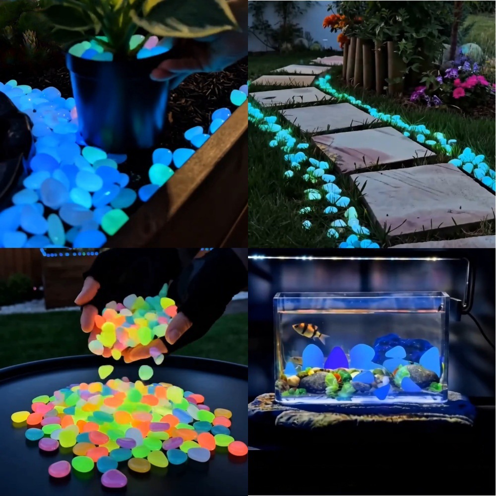 หินเรืองแสงหลากสีสันสำหรับตกแต - Aquarium Planted Fish บทวิจารณ์และราคา