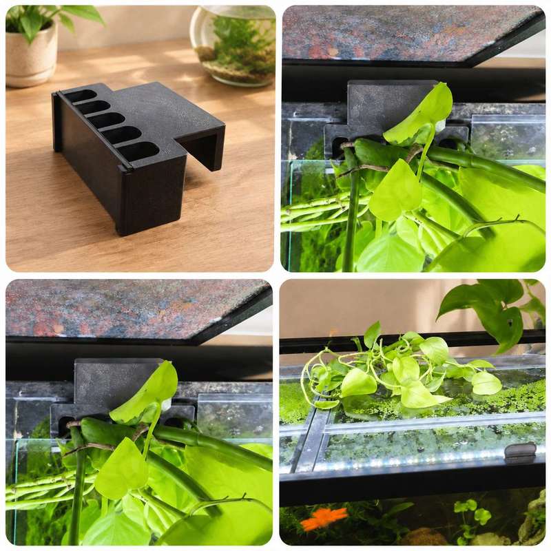 ที่ยึดต้นไม้ข้างตู้ปลา ชั้นวาง - Aquarium Plant Design บทวิจารณ์และราคา