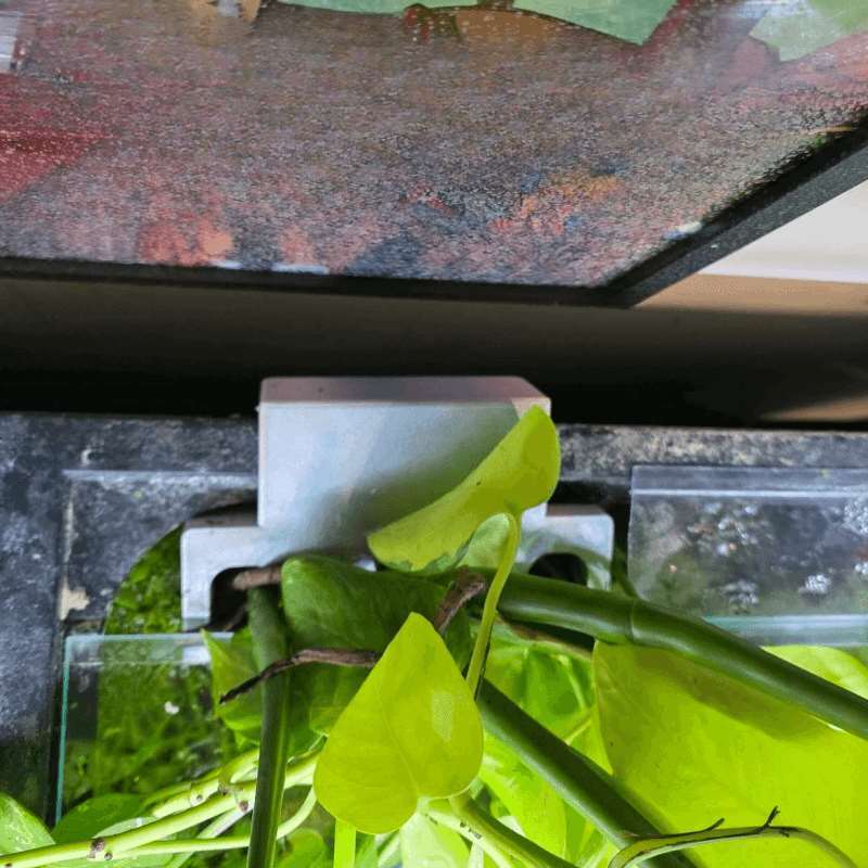 ที่ยึดต้นไม้ข้างตู้ปลา ชั้นวาง - Aquarium Plant Design บทวิจารณ์และราคา