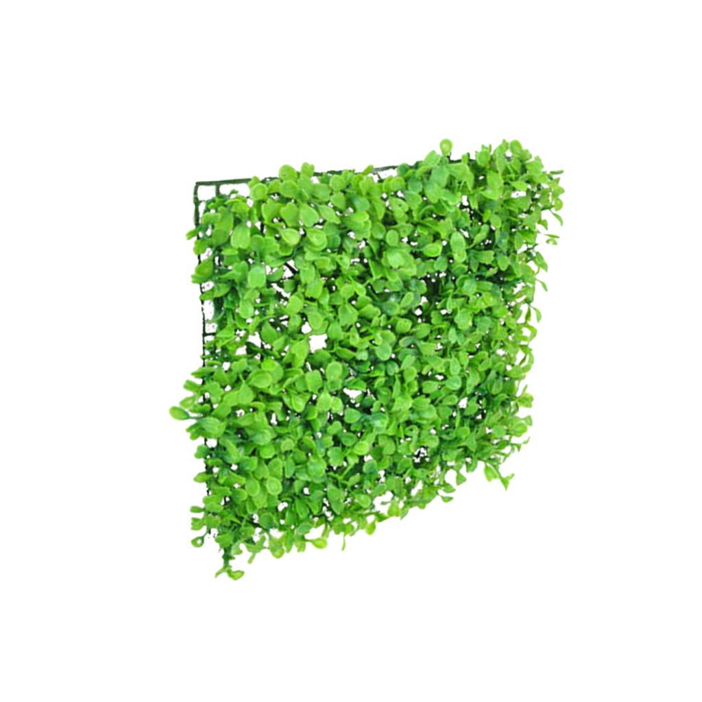 หญ้าเทียมพลาสติกเรซินสังเคราะห - Aquarium Planted Setup บทวิจารณ์และราคา
