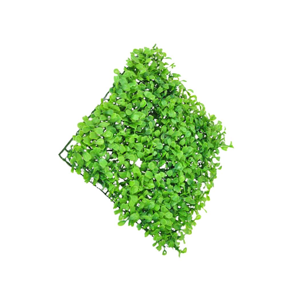 หญ้าเทียมพลาสติกเรซินสังเคราะห - Aquarium Planted Setup บทวิจารณ์และราคา