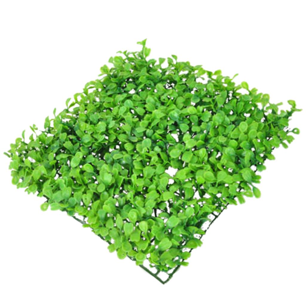 หญ้าเทียมพลาสติกเรซินสังเคราะห - Aquarium Planted Setup บทวิจารณ์และราคา