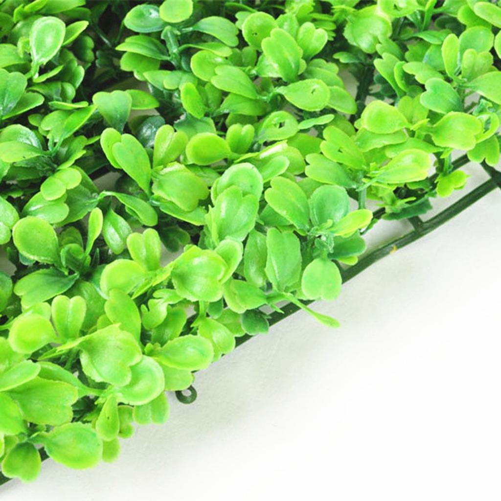 หญ้าเทียมพลาสติกเรซินสังเคราะห - Aquarium Planted Setup บทวิจารณ์และราคา
