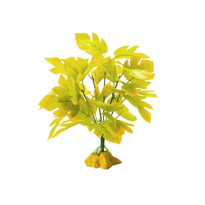 โรงงานพิพิธภัณฑ์สัตว์น้ำเทียม - Aquarium Planted Fish บทวิจารณ์และราคา