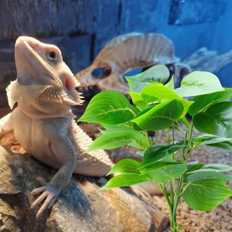 โรงงานพิพิธภัณฑ์สัตว์น้ำเทียม - Aquarium Planted Fish บทวิจารณ์และราคา