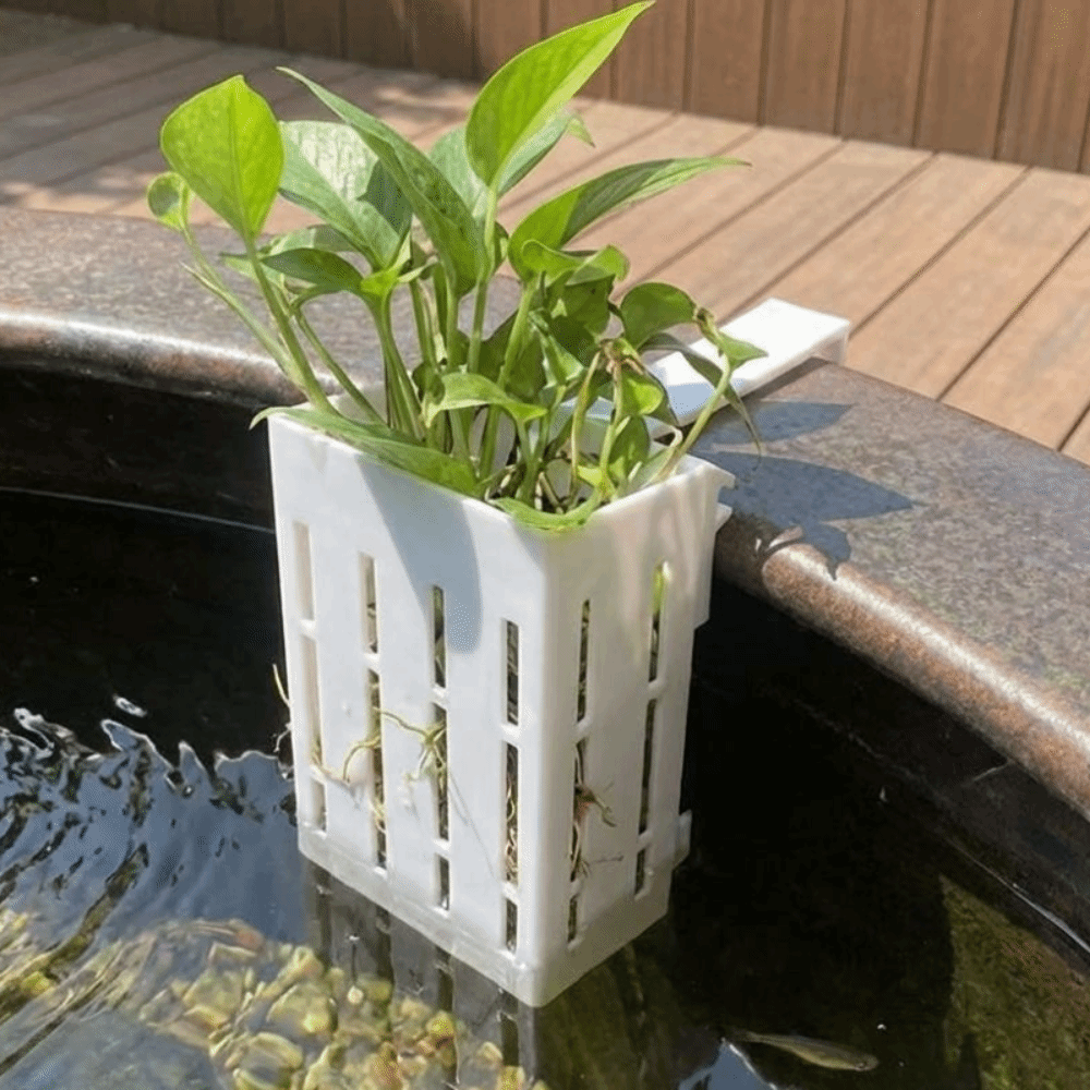 กระถางปลูกต้นไม้แบบแขวนผนังสำห - Aquarium Planted Wall บทวิจารณ์และราคา