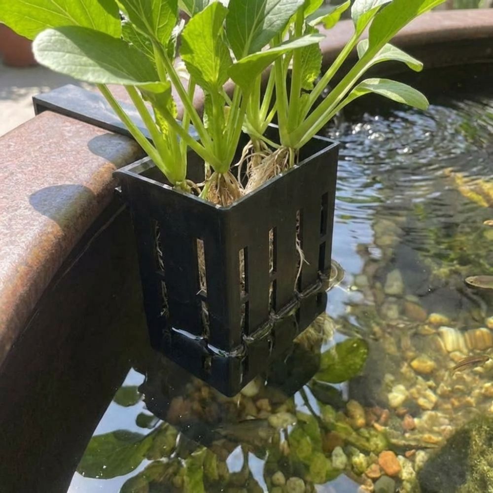 กระถางปลูกต้นไม้แบบแขวนผนังสำห - Aquarium Planted Wall บทวิจารณ์และราคา