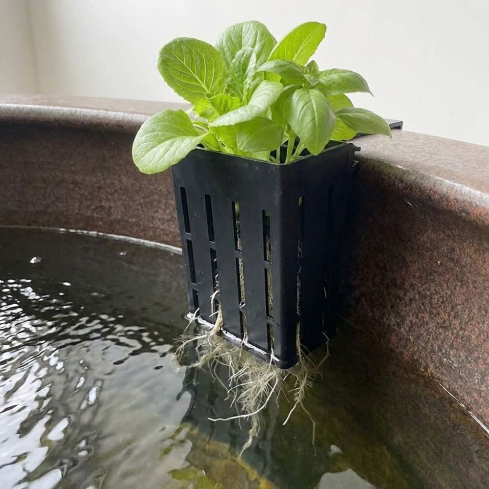กระถางปลูกต้นไม้แบบแขวนผนังสำห - Aquarium Planted Wall บทวิจารณ์และราคา