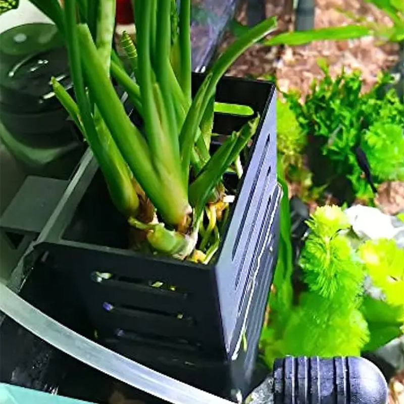 สัตว์เลี้ยงตกแต่งถังปลา Aquari - Aquarium Plant Holder บทวิจารณ์และราคา