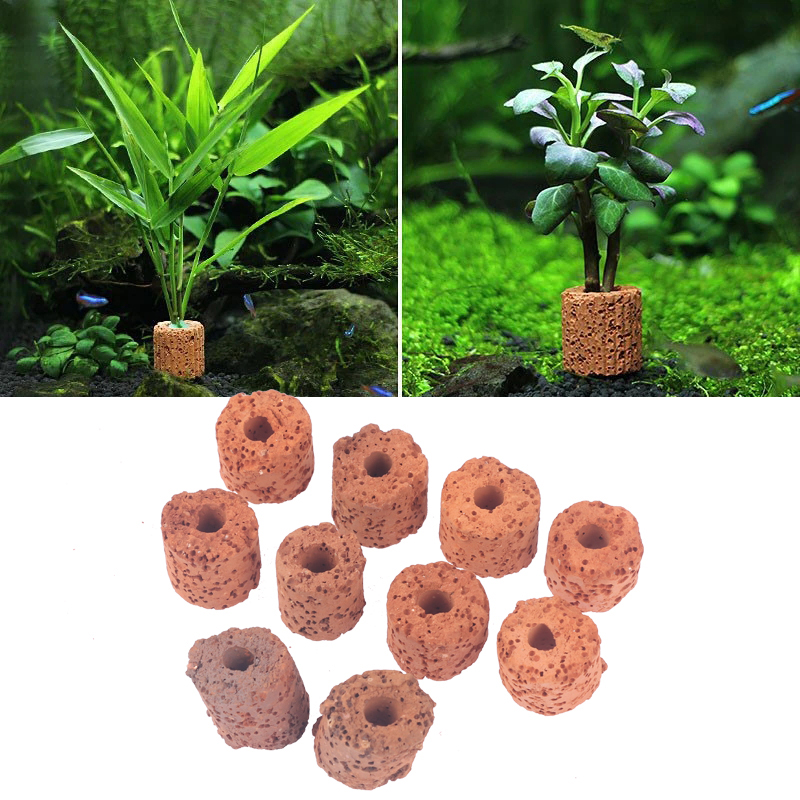 วงแหวนตกแต่งต้นไม้น้ำขนาดเล็ก  - Aquarium Planted Setup บทวิจารณ์และราคา
