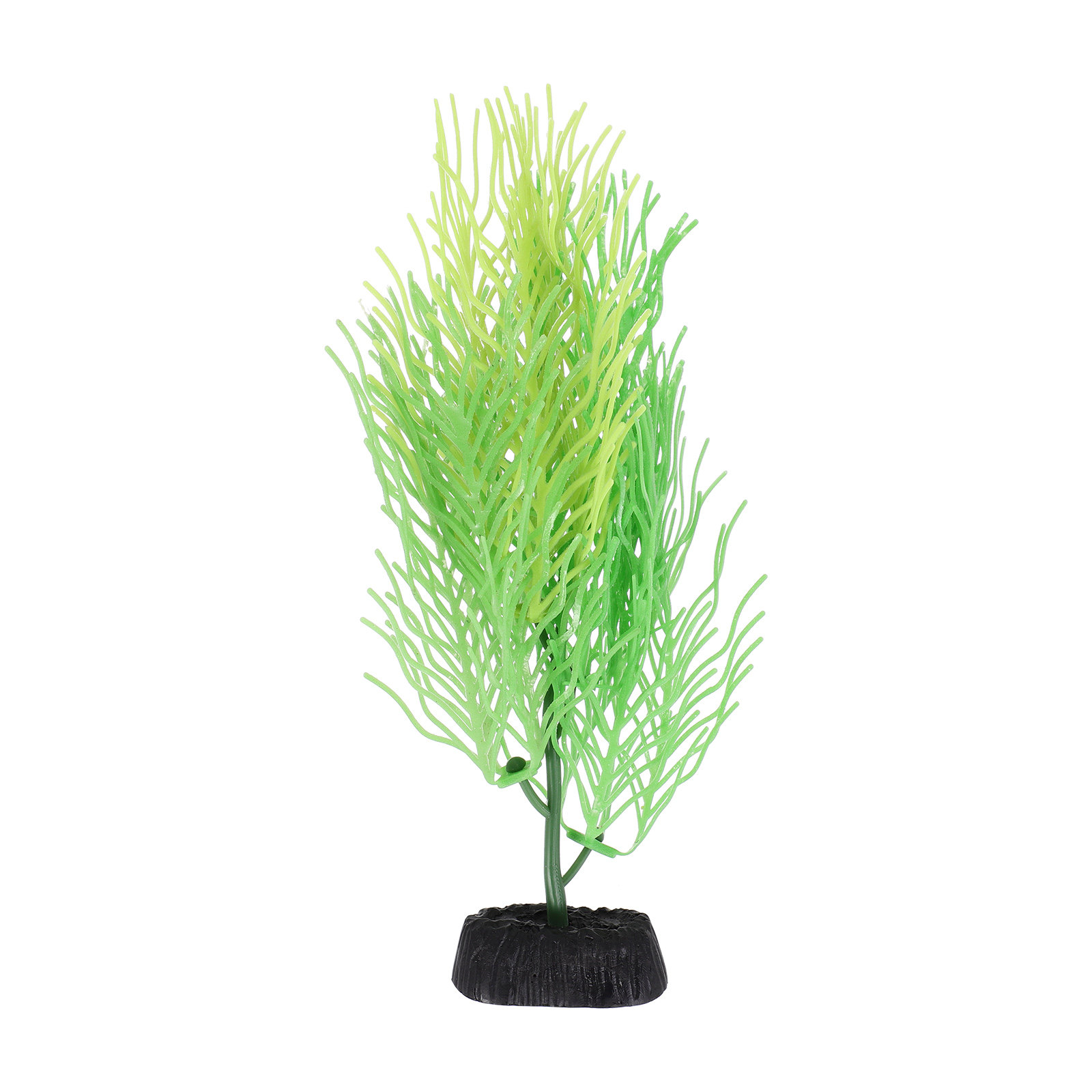 ต้นไม้ประดับตู้ปลาจำลองแบบฮอร์ - Aquarium Planted Setup บทวิจารณ์และราคา