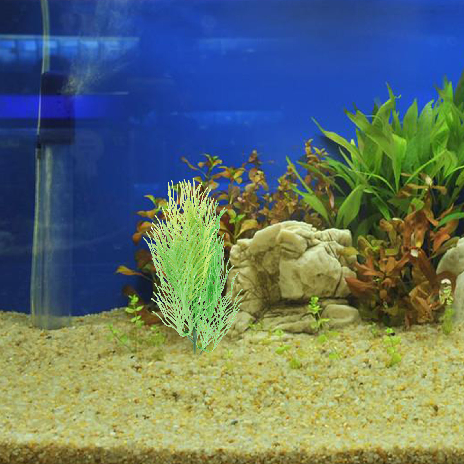 ต้นไม้ประดับตู้ปลาจำลองแบบฮอร์ - Aquarium Planted Setup บทวิจารณ์และราคา
