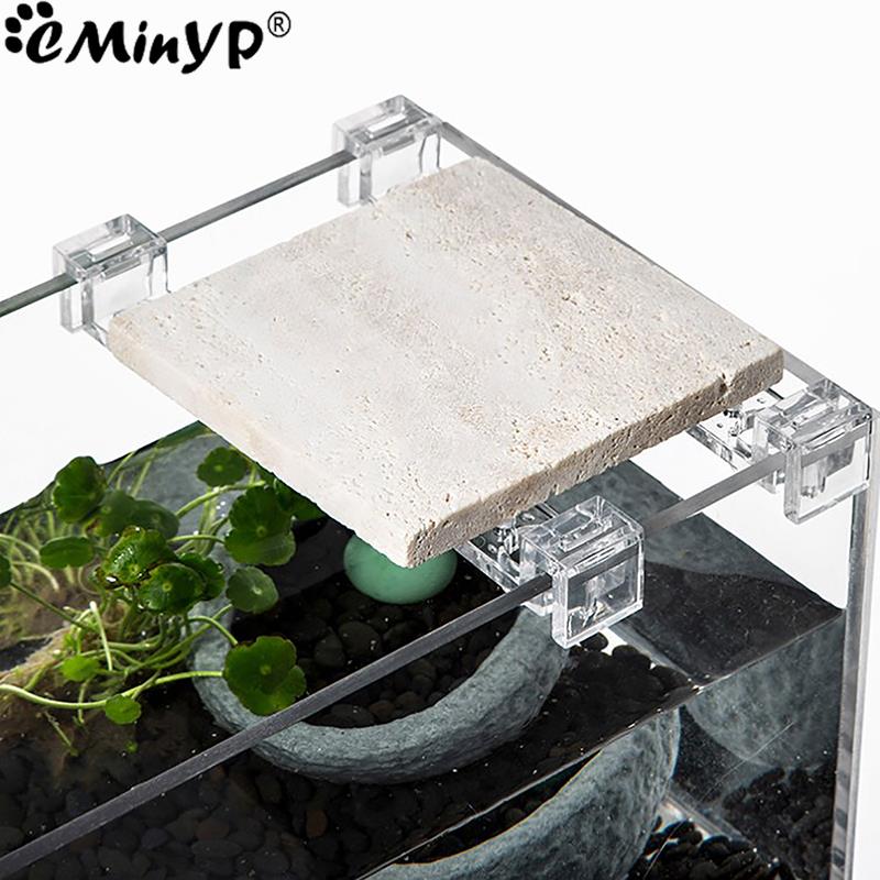 4 ชิ้นถังปลาคลิปอะคริลิคสําหรั - Aquarium Plant Holder บทวิจารณ์และราคา