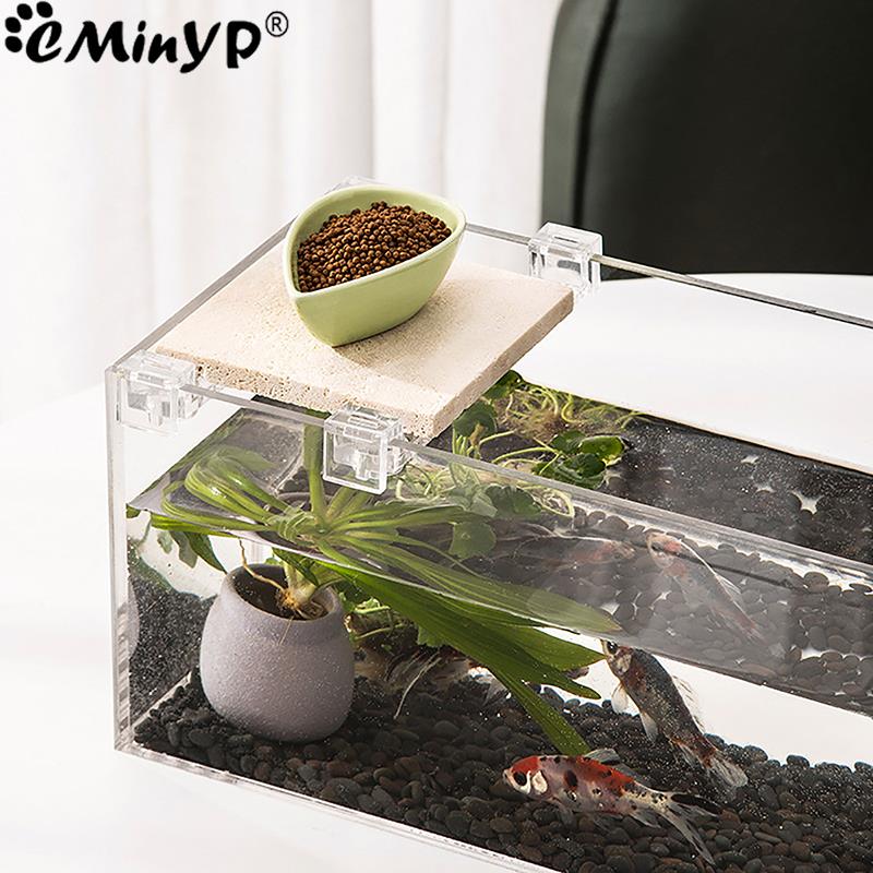 4 ชิ้นถังปลาคลิปอะคริลิคสําหรั - Aquarium Plant Holder บทวิจารณ์และราคา