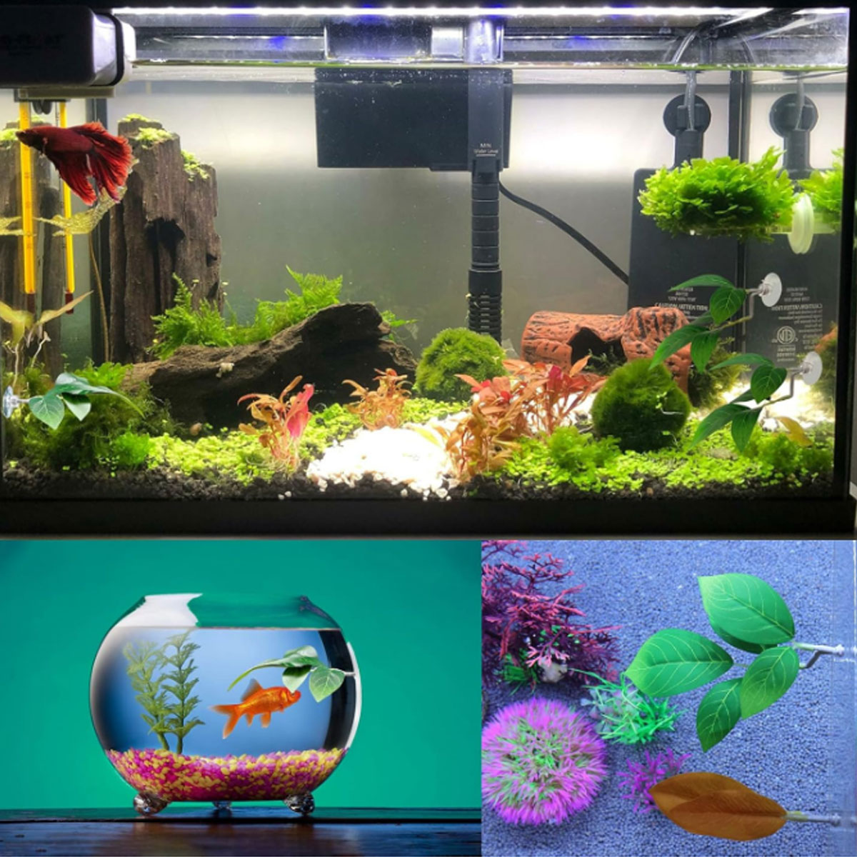 เปลปลาเบตต้า 1 ชิ้น ของตกแต่งต - Aquarium Plant Design บทวิจารณ์และราคา