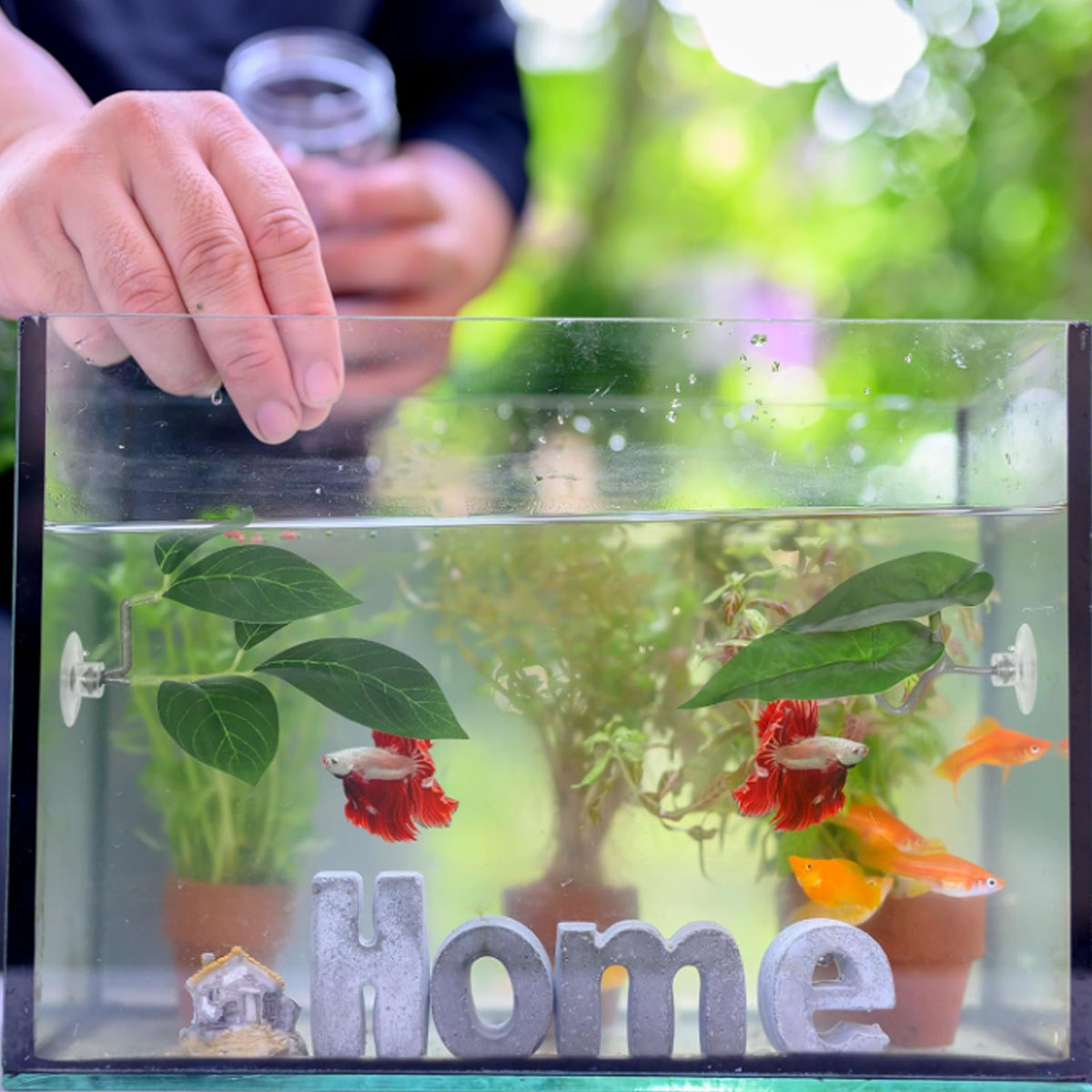 เปลปลาเบตต้า 1 ชิ้น ของตกแต่งต - Aquarium Plant Design บทวิจารณ์และราคา