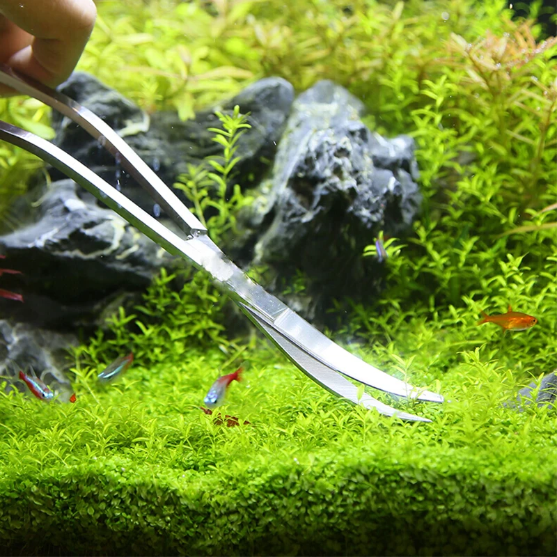 Aquarium กรรไกรเครื่องมือถังปล - Aquarium Plant Holder บทวิจารณ์และราคา