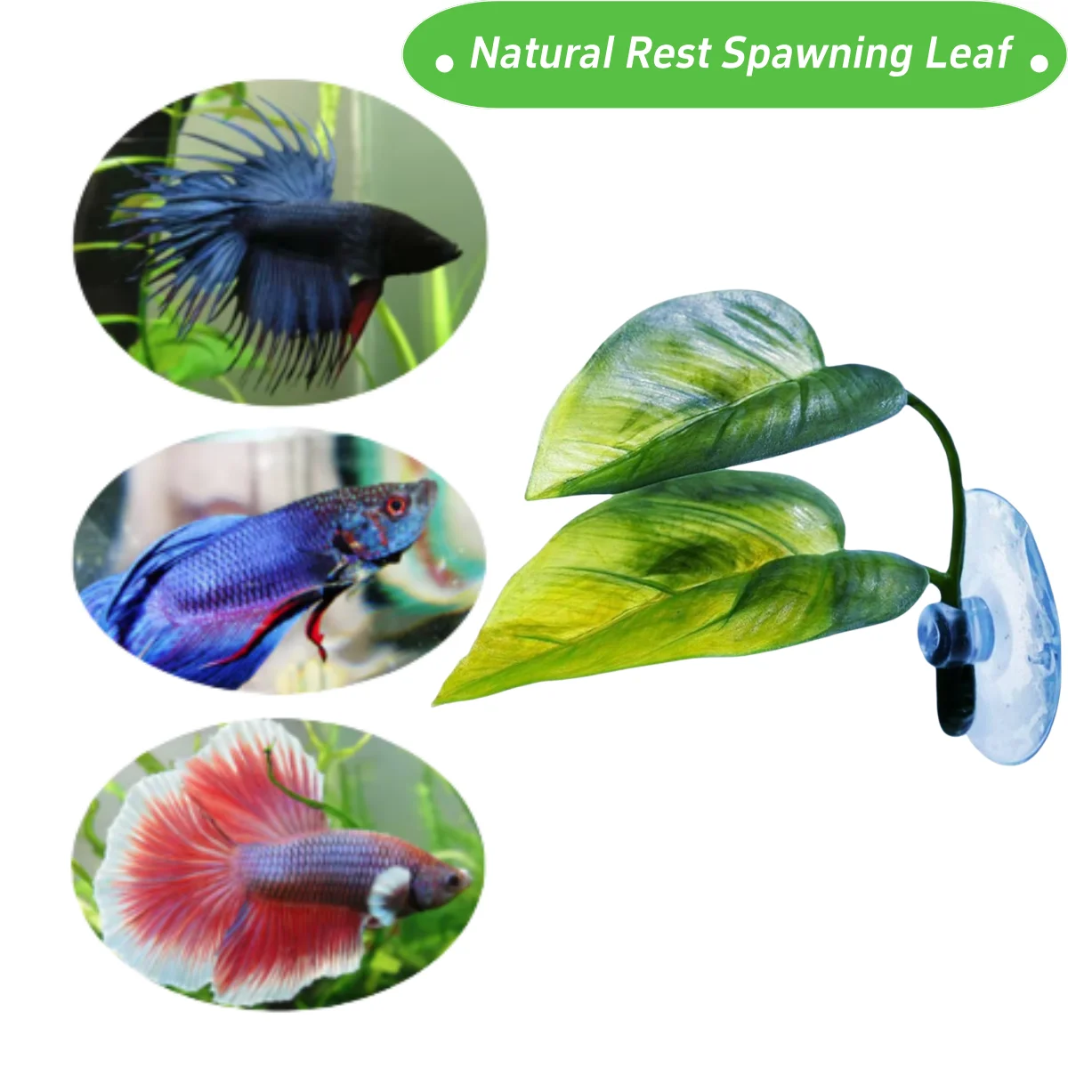 ของตกแต่งตู้ปลาสำหรับสัตว์เลี้ - Aquarium Plant Design บทวิจารณ์และราคา