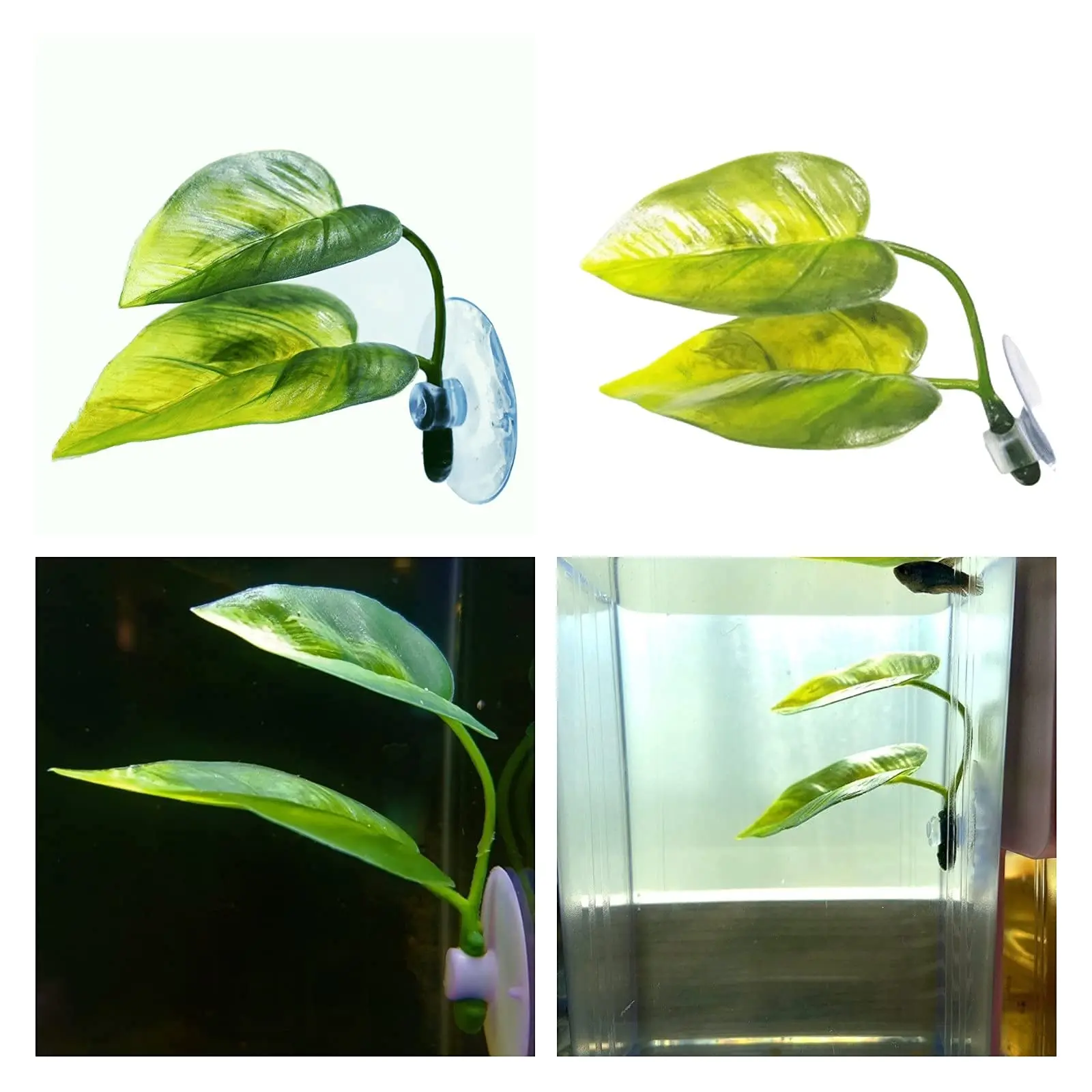 ของตกแต่งตู้ปลาสำหรับสัตว์เลี้ - Aquarium Plant Design บทวิจารณ์และราคา