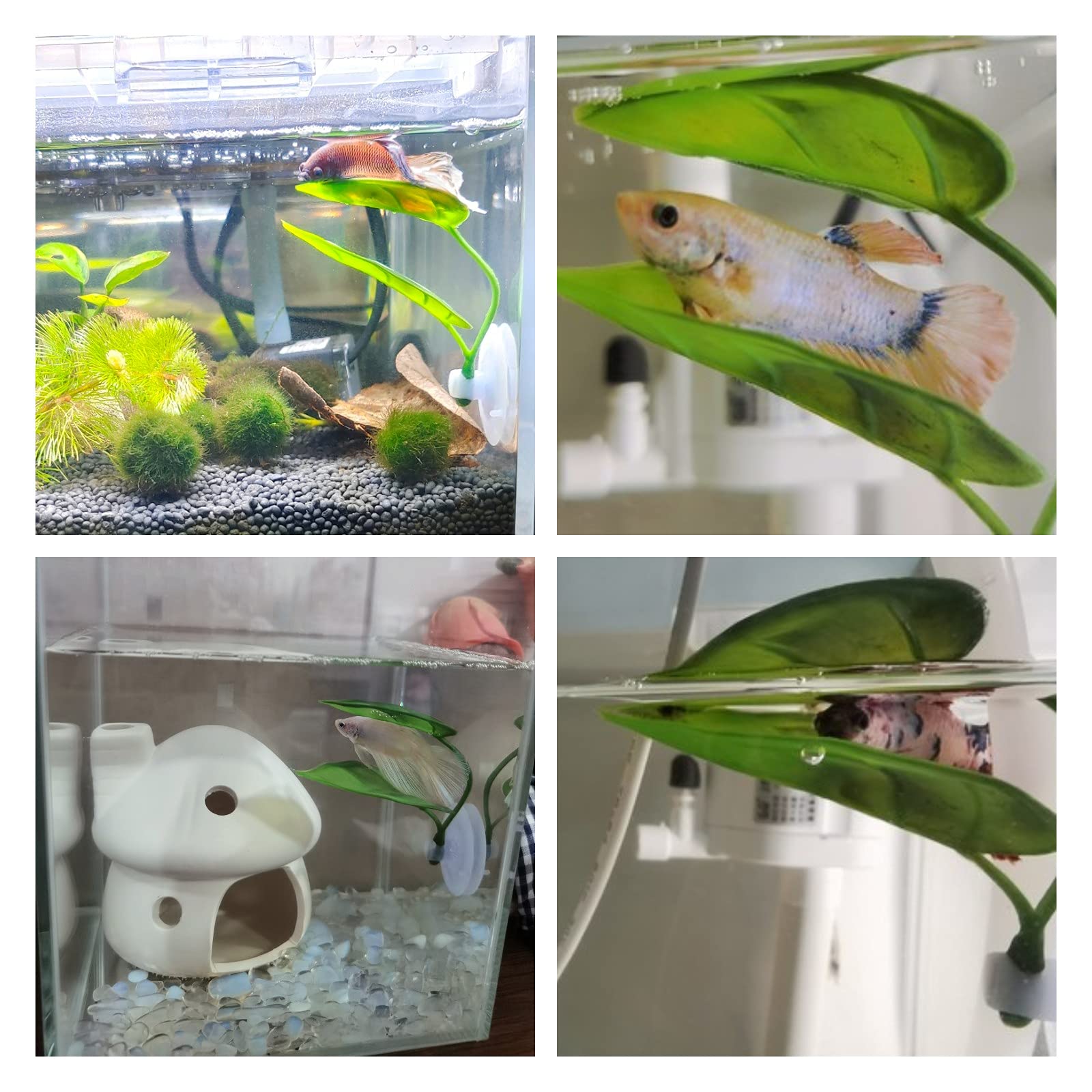 ของตกแต่งตู้ปลาสำหรับสัตว์เลี้ - Aquarium Plant Design บทวิจารณ์และราคา