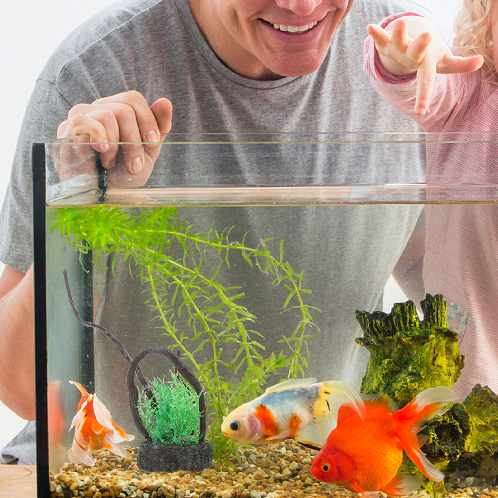ชุดต้นไม้ประดิษฐ์สำหรับตกแต่งต - Non Planted Aquarium Fish บทวิจารณ์และราคา