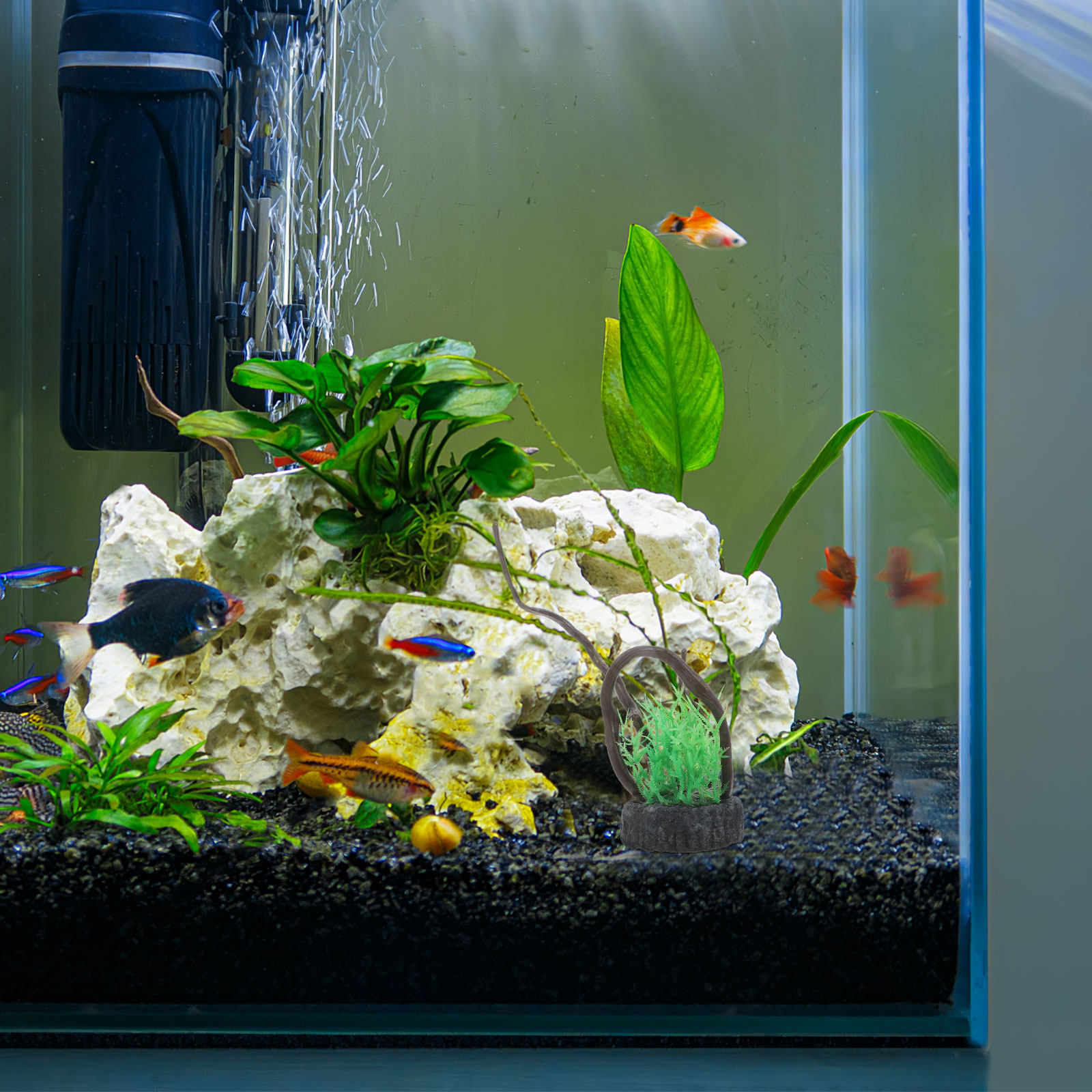 ชุดต้นไม้ประดิษฐ์สำหรับตกแต่งต - Non Planted Aquarium Fish บทวิจารณ์และราคา