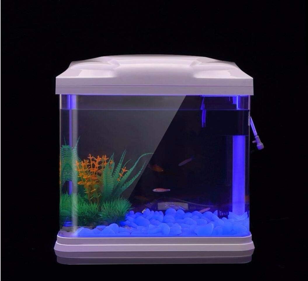 ถังปลา Rocks Glow Blue Pebbles - Aquarium Planted Fish บทวิจารณ์และราคา