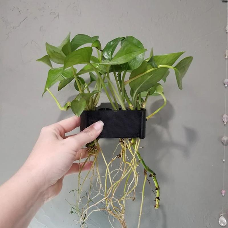 ตะกร้ารองรับต้นไม้ในตู้ปลา 1 2 - Aquarium Planted Setup บทวิจารณ์และราคา