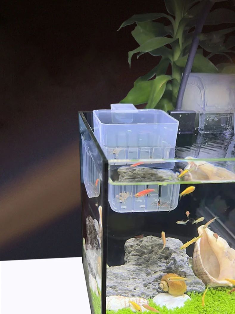 ตะกร้าปลูกพืชไฮโดรโปนิกส์แบบใส - Aquarium Planted Wall บทวิจารณ์และราคา