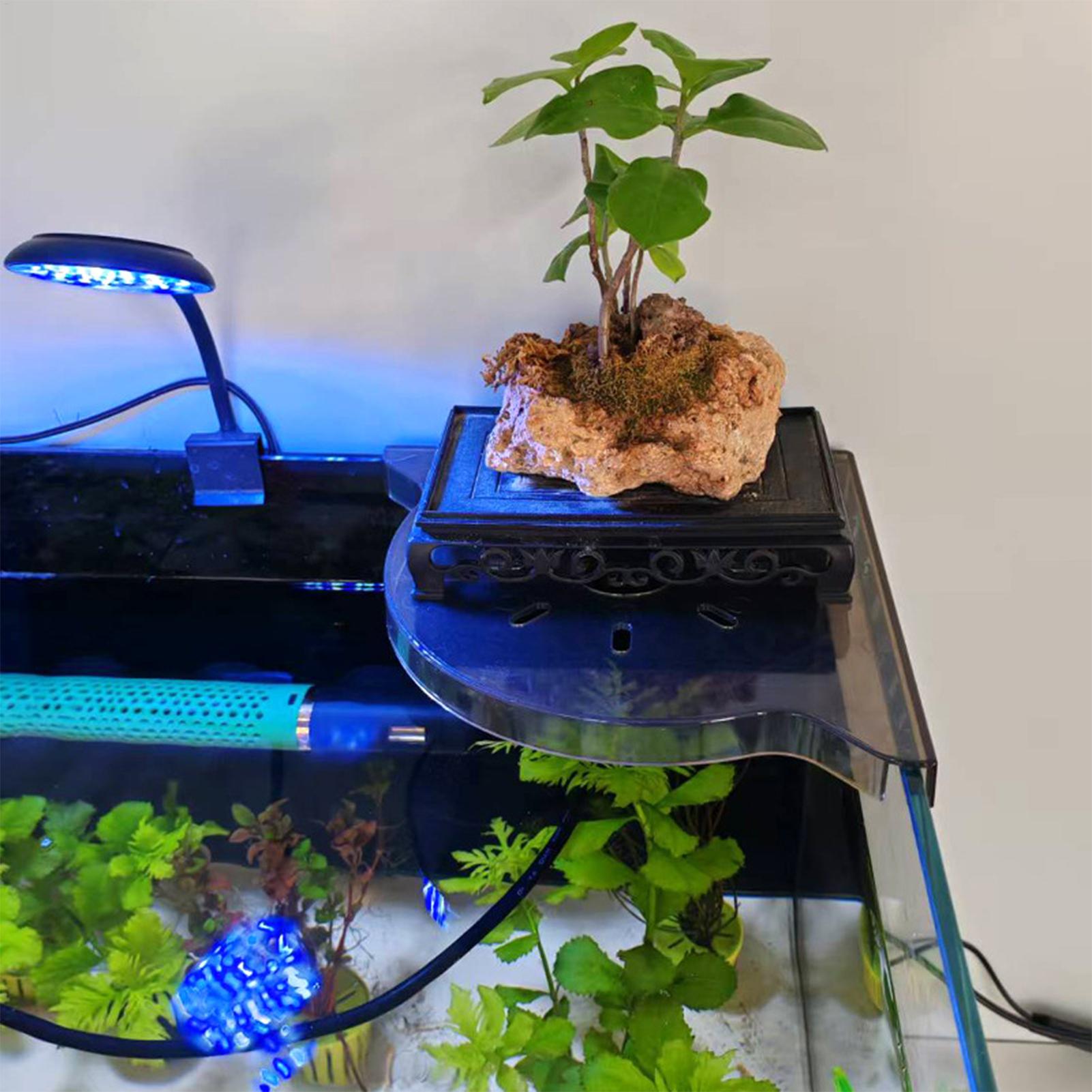 ชั้นวางของมุมตู้ปลาแบบสามเหลี่ - Aquarium Plant Holder บทวิจารณ์และราคา