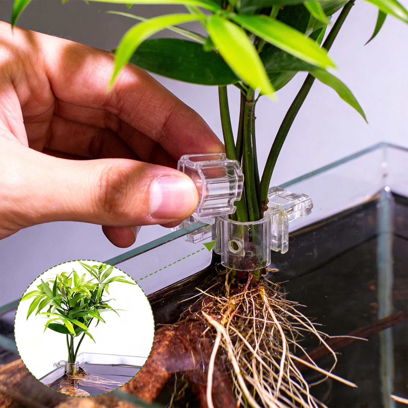 ที่แขวนต้นไม้ในตู้ปลาแบบใส 6 ช - Aquarium Plant Live บทวิจารณ์และราคา