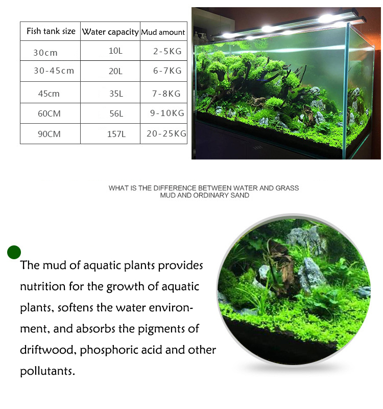 พิพิธภัณฑ์สัตว์น้ำเมล็ดพืชดิน  - Aquarium Planted Fish บทวิจารณ์และราคา