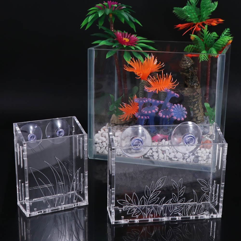 ถ้วยปลูกต้นไม้ในตู้ปลาแบบแขวนผ - Aquarium Planted Wall บทวิจารณ์และราคา