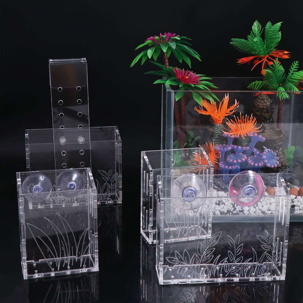 ถ้วยปลูกต้นไม้ในตู้ปลาแบบแขวนผ - Aquarium Planted Wall บทวิจารณ์และราคา