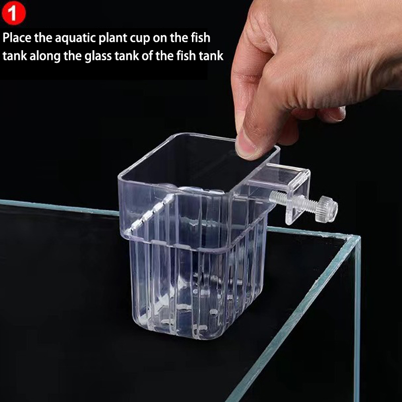 ถ้วยปลูกหญ้าน้ำพิพิธภัณฑ์สัตว์ - Aquarium Planted Fish บทวิจารณ์และราคา