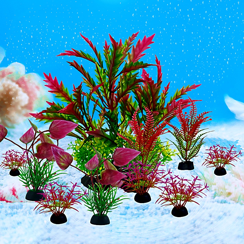 10PC ถังปลา DIY ประดิษฐ์ Aquar - Aquarium Plant Design บทวิจารณ์และราคา