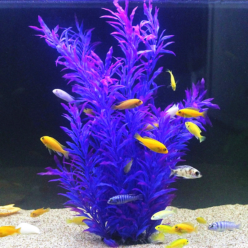 50 ซม.ถังปลาประดิษฐ์พืชหายากAq - Aquarium Planted Fish บทวิจารณ์และราคา