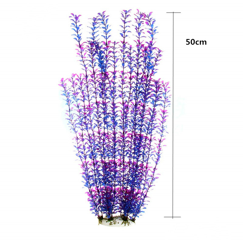 50 ซม.ถังปลาประดิษฐ์พืชหายากAq - Aquarium Planted Fish บทวิจารณ์และราคา