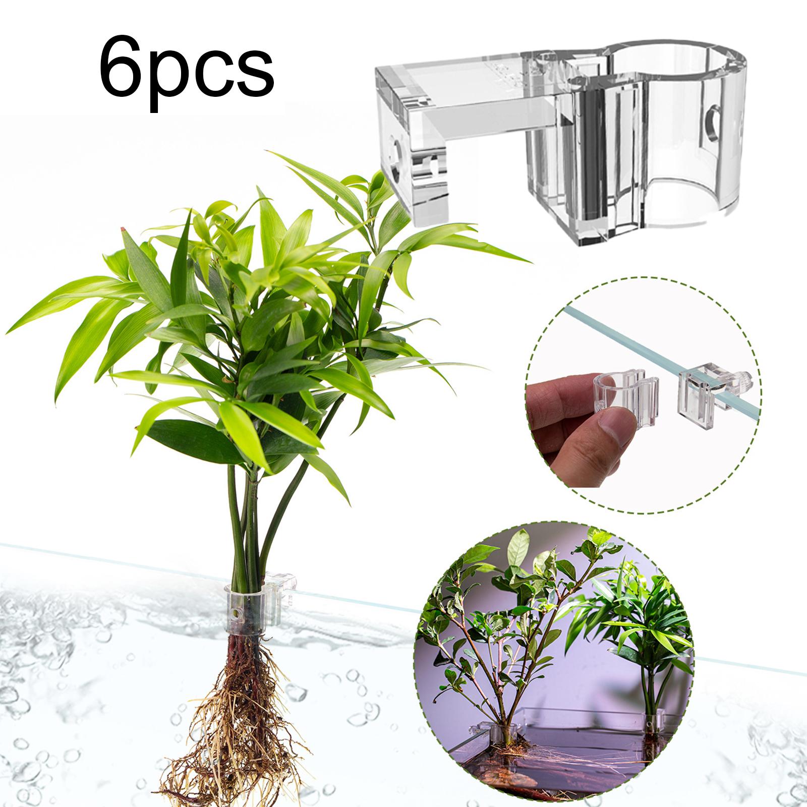 ที่ใส่ต้นไม้โปร่งใสทนทานสำหรับ - Aquarium Planted Wall บทวิจารณ์และราคา